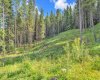 262 Southmore Place, Blairmore, Alberta T0K 0E0, ,Land,For Sale,Southmore,A2245659