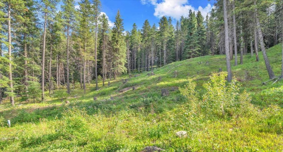 262 Southmore Place, Blairmore, Alberta T0K 0E0, ,Land,For Sale,Southmore,A2245659