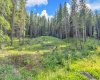 262 Southmore Place, Blairmore, Alberta T0K 0E0, ,Land,For Sale,Southmore,A2245659