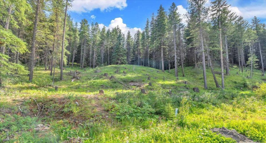 262 Southmore Place, Blairmore, Alberta T0K 0E0, ,Land,For Sale,Southmore,A2245659