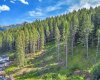 262 Southmore Place, Blairmore, Alberta T0K 0E0, ,Land,For Sale,Southmore,A2245659