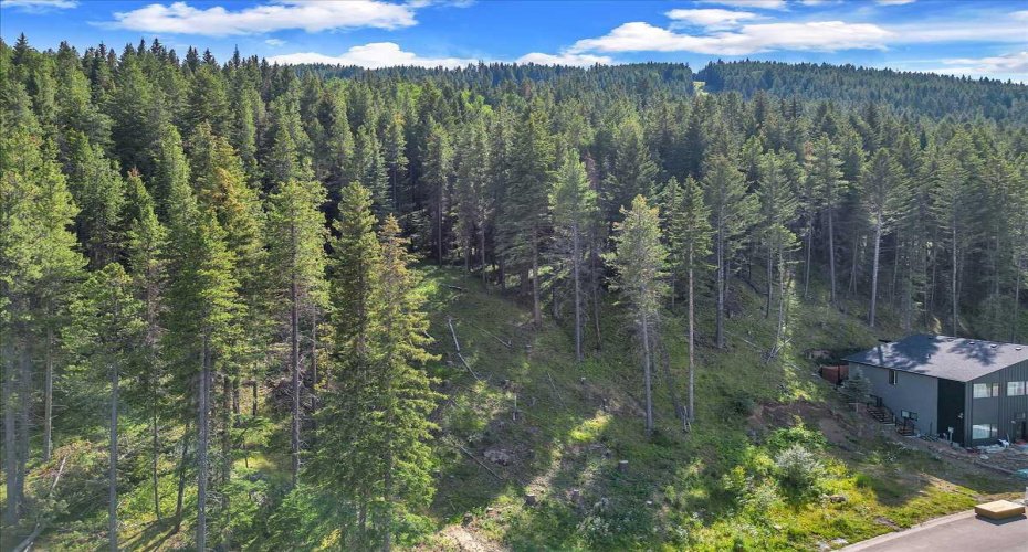 262 Southmore Place, Blairmore, Alberta T0K 0E0, ,Land,For Sale,Southmore,A2245659