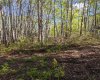 15538 Old Trail, Plamondon, Alberta T0A 2T0, ,Land,For Sale,Old Trail,A2011362