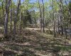 15538 Old Trail, Plamondon, Alberta T0A 2T0, ,Land,For Sale,Old Trail,A2011362