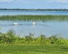 9 Rustic Road, Norglenwold, Alberta T4S 1S5, 5 Bedrooms Bedrooms, ,3 BathroomsBathrooms,Residential,For Sale,Rustic,A2247198