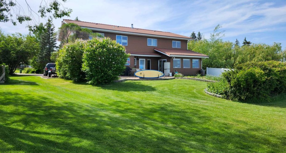 Mature Yard