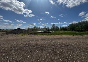 4601-4603 49 Avenue, Dewberry, Alberta T0B 0E3, ,Land,For Sale,49,A2247710