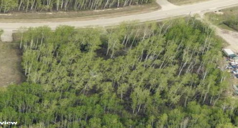 151 Poplar Drive, Conklin, Alberta T0P 1H0, ,Land,For Sale,Poplar Drive,A2247731