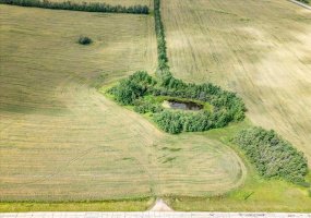 Part of NE-24-47-1-W5, Rural Wetaskiwin No. 10, County of, Alberta T0C 2C0, ,Land,For Sale,Part of NE-24-47-1-W5,A2248050