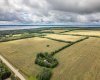 Part of NE-24-47-1-W5, Rural Wetaskiwin No. 10, County of, Alberta T0C 2C0, ,Land,For Sale,Part of NE-24-47-1-W5,A2248050