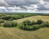 Part of NE-24-47-1-W5, Rural Wetaskiwin No. 10, County of, Alberta T0C 2C0, ,Land,For Sale,Part of NE-24-47-1-W5,A2248050
