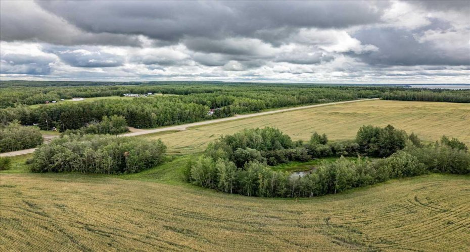 Part of NE-24-47-1-W5, Rural Wetaskiwin No. 10, County of, Alberta T0C 2C0, ,Land,For Sale,Part of NE-24-47-1-W5,A2248050