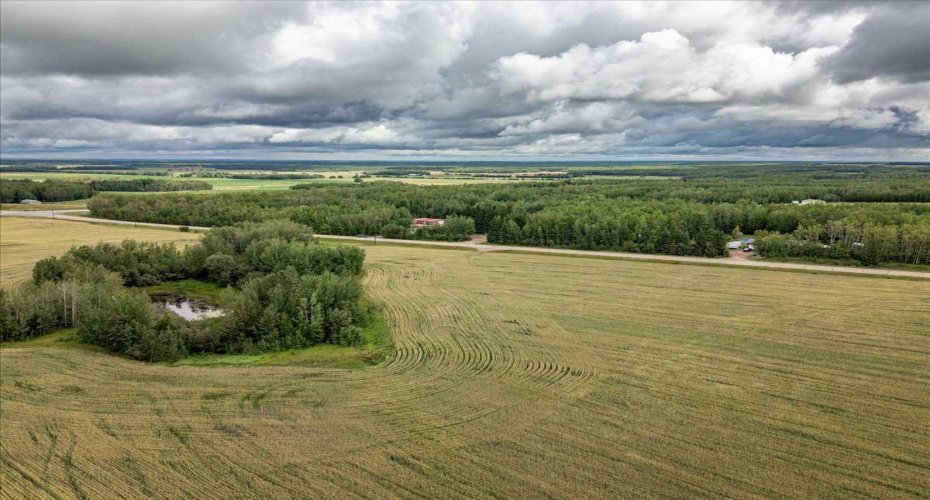 Part of NE-24-47-1-W5, Rural Wetaskiwin No. 10, County of, Alberta T0C 2C0, ,Land,For Sale,Part of NE-24-47-1-W5,A2248050