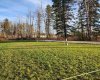 3 2nd Street, Faust, Alberta T0G 0X0, ,Land,For Sale,2nd,A2237974