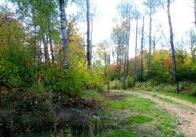1520018 - 1 - 1 Poplar Point, Rural Lac La Biche County, Alberta T0A 2C0, ,Land,For Sale,Poplar Point,A2246298