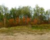 1520018 - 1 - 1 Poplar Point, Rural Lac La Biche County, Alberta T0A 2C0, ,Land,For Sale,Poplar Point,A2246298