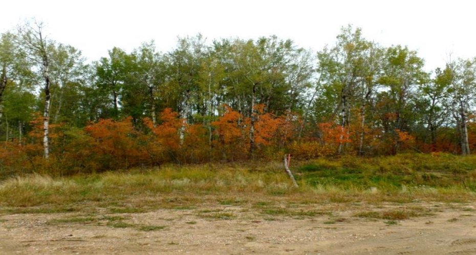 1520018 - 1 - 1 Poplar Point, Rural Lac La Biche County, Alberta T0A 2C0, ,Land,For Sale,Poplar Point,A2246298