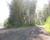 Road to Beach access