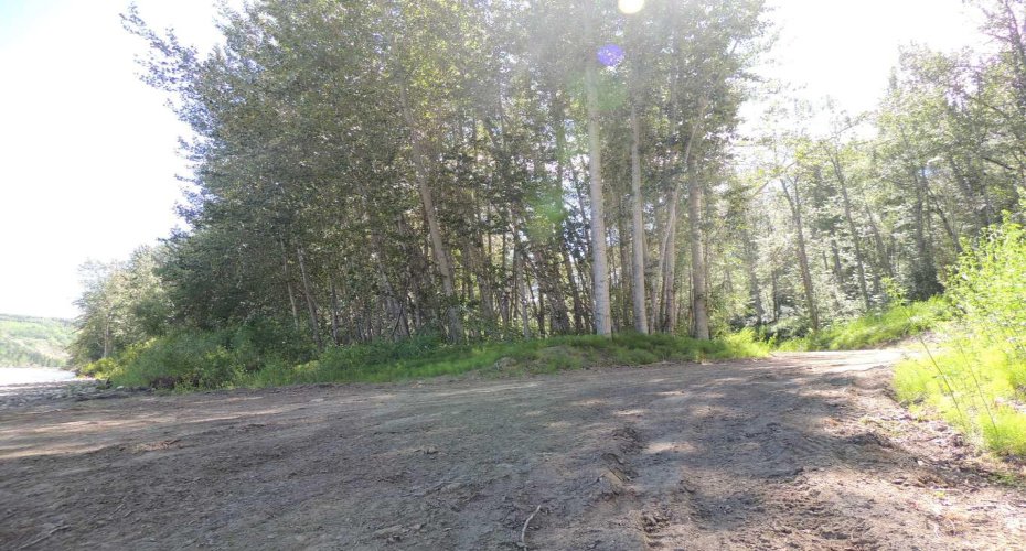 Road to Beach access