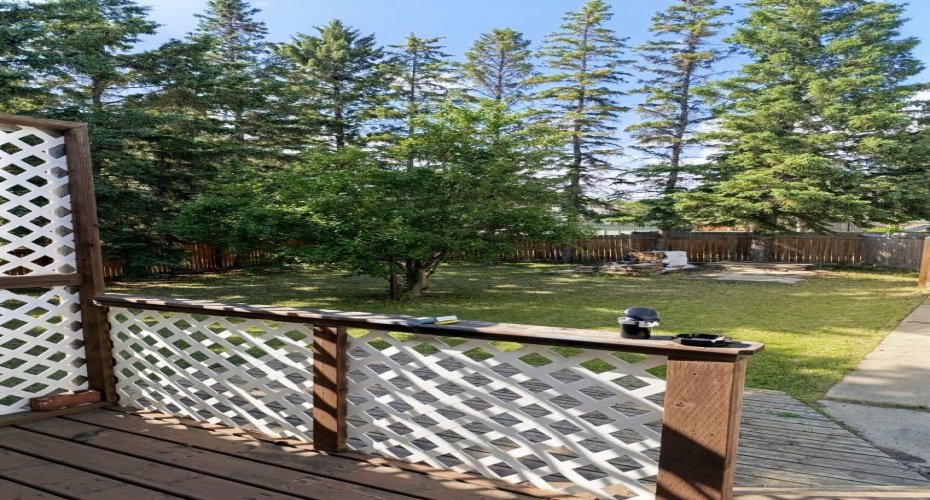4716 55 Avenue, Provost, Alberta T0B3S0, 5 Bedrooms Bedrooms, ,3 BathroomsBathrooms,Residential,For Sale,55,A2248883