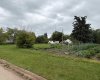 4911 52 Street, Lougheed, Alberta T0B2V0, ,Land,For Sale,52,A2249848