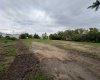 4911 52 Street, Lougheed, Alberta T0B2V0, ,Land,For Sale,52,A2249848