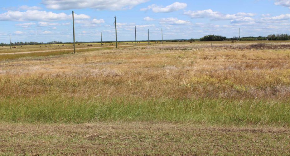 903 Main Street, Manning, Alberta T0H 2M0, ,Land,For Sale,Main Street,A2019177