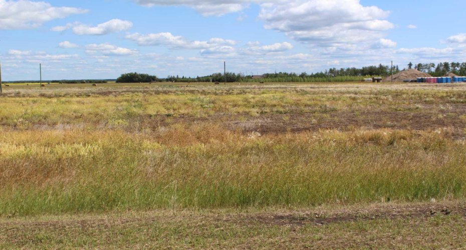 903 Main Street, Manning, Alberta T0H 2M0, ,Land,For Sale,Main Street,A2019177