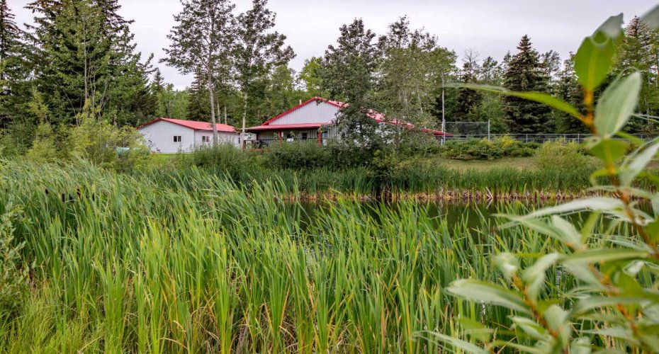 69067 HWY 40, Grovedale, Alberta T0H 1X0, 5 Bedrooms Bedrooms, ,4 BathroomsBathrooms,Residential,For Sale,HWY 40,A2250899