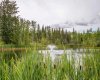 69067 HWY 40, Grovedale, Alberta T0H 1X0, 5 Bedrooms Bedrooms, ,4 BathroomsBathrooms,Residential,For Sale,HWY 40,A2250899