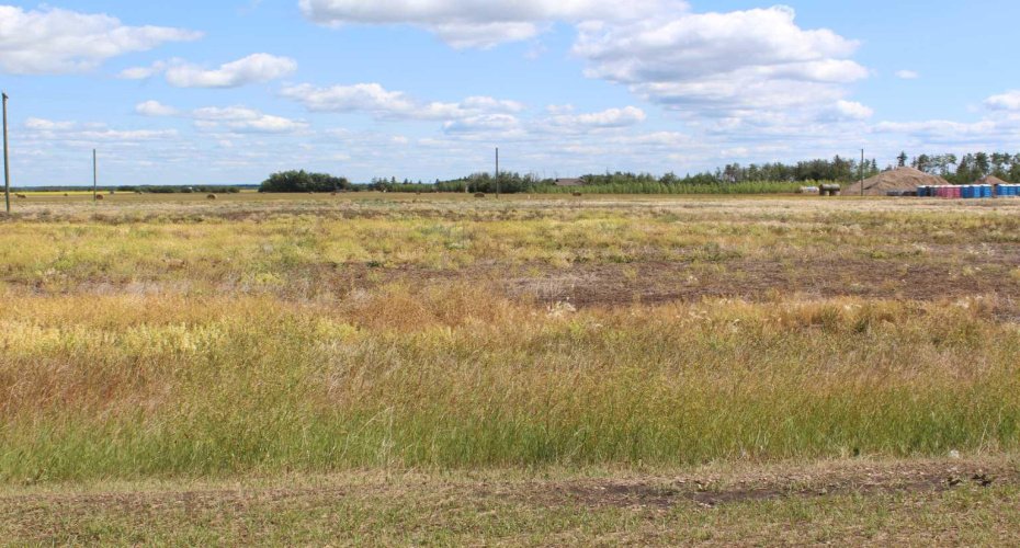 901 Main Street, Manning, Alberta T0H 2M0, ,Land,For Sale,Main Street,A2019178