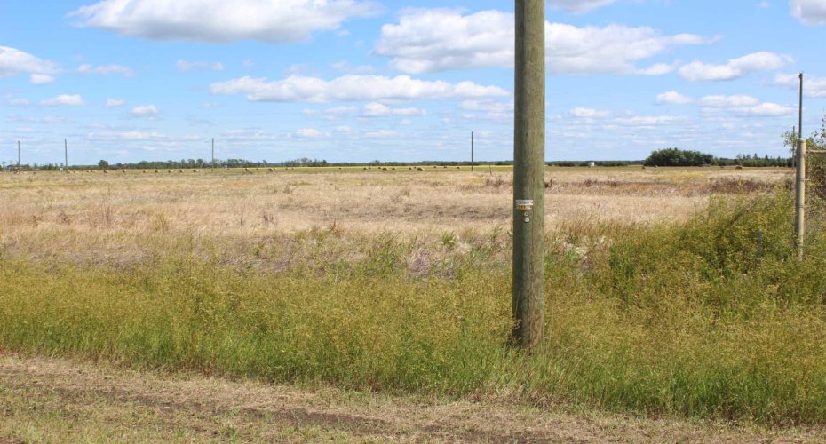 901 Main Street, Manning, Alberta T0H 2M0, ,Land,For Sale,Main Street,A2019178