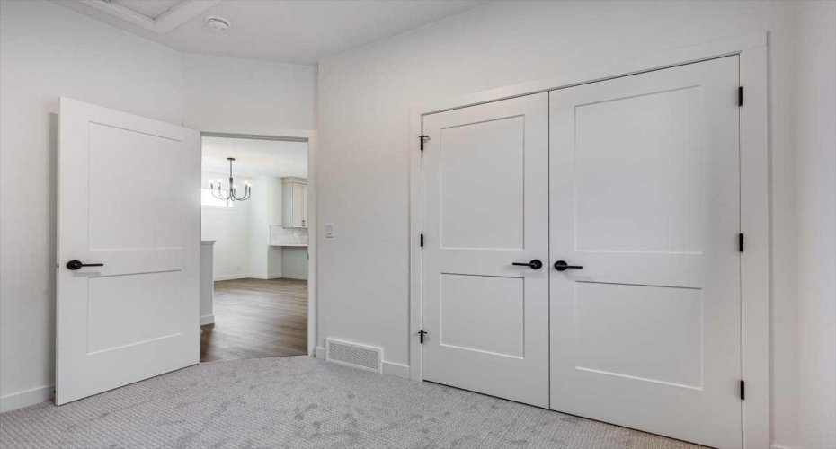 main floor bdrm closet view