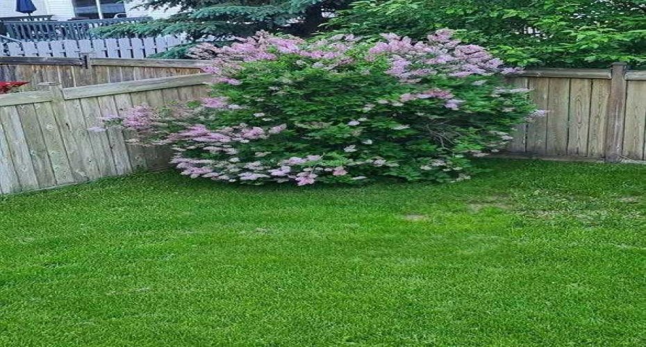 143 Breukel Crescent, Fort McMurray, Alberta T9K 1W8, 5 Bedrooms Bedrooms, ,3 BathroomsBathrooms,Residential,For Sale,Breukel,A2251450