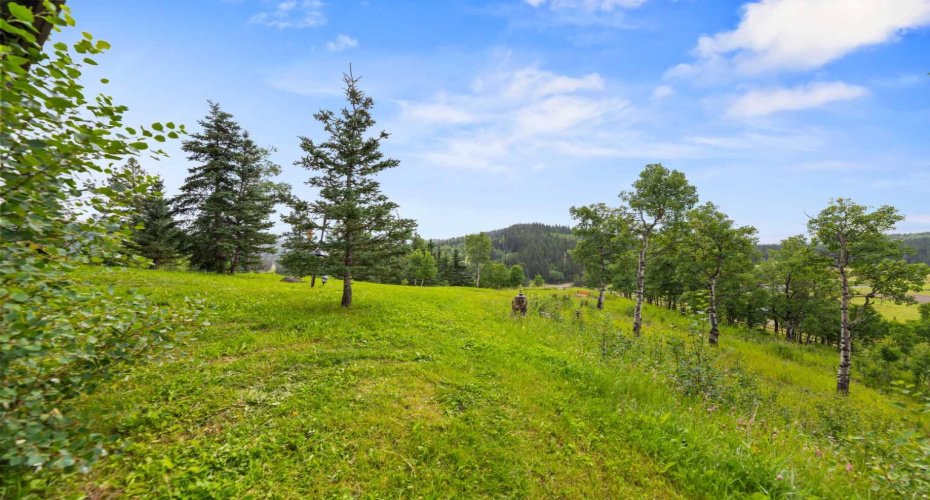 11 Black Bear Lane, Rural Foothills County, Alberta T0L 0K0, 4 Bedrooms Bedrooms, ,3 BathroomsBathrooms,Residential,For Sale,Black Bear,A2251872