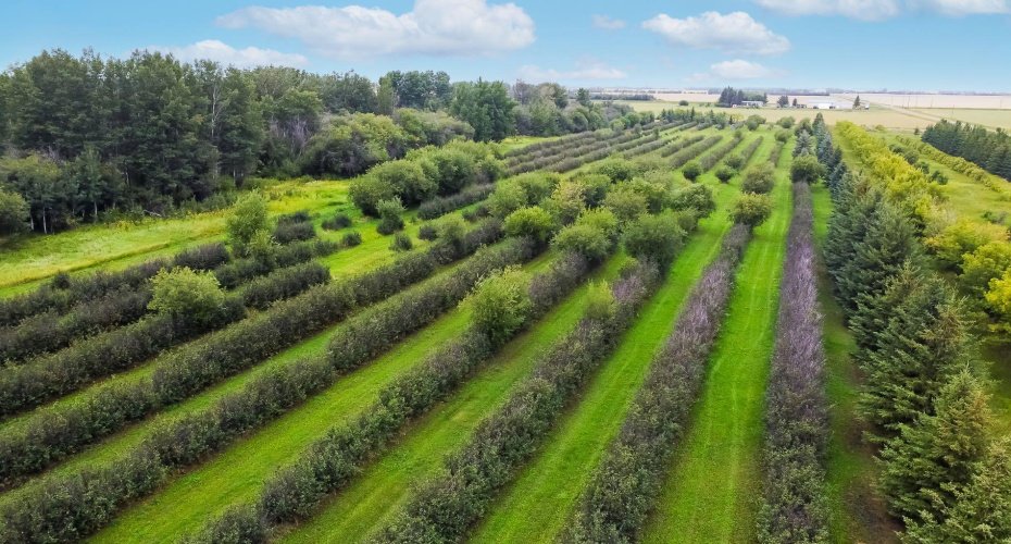 77132 Range Road 212, Rural Smoky River No. 130, M.D. of, Alberta T0H 1M0, 3 Bedrooms Bedrooms, ,2 BathroomsBathrooms,Residential,For Sale,Range Road 212,A2251691