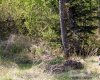 Lot 2 Blk 5 LAKESIDE Drive, Perch Lake, Saskatchewan S0M 2G0, ,Land,For Sale,LAKESIDE,A2251733