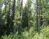Lot 3 Blk 5 LAKESIDE Drive, Perch Lake, Saskatchewan S0M 2G0, ,Land,For Sale,LAKESIDE,A2251735