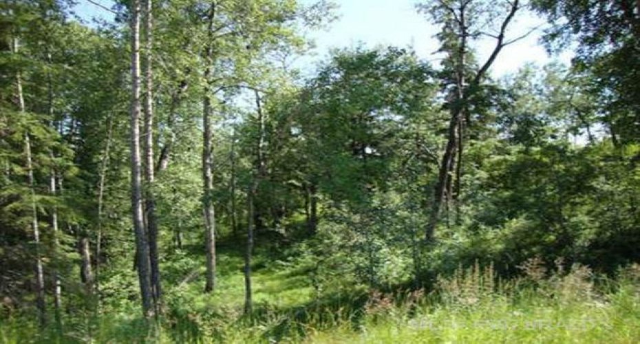 Lot 4 Blk 5 LAKESIDE Drive, Perch Lake, Saskatchewan S0M 2G0, ,Land,For Sale,LAKESIDE,A2251739