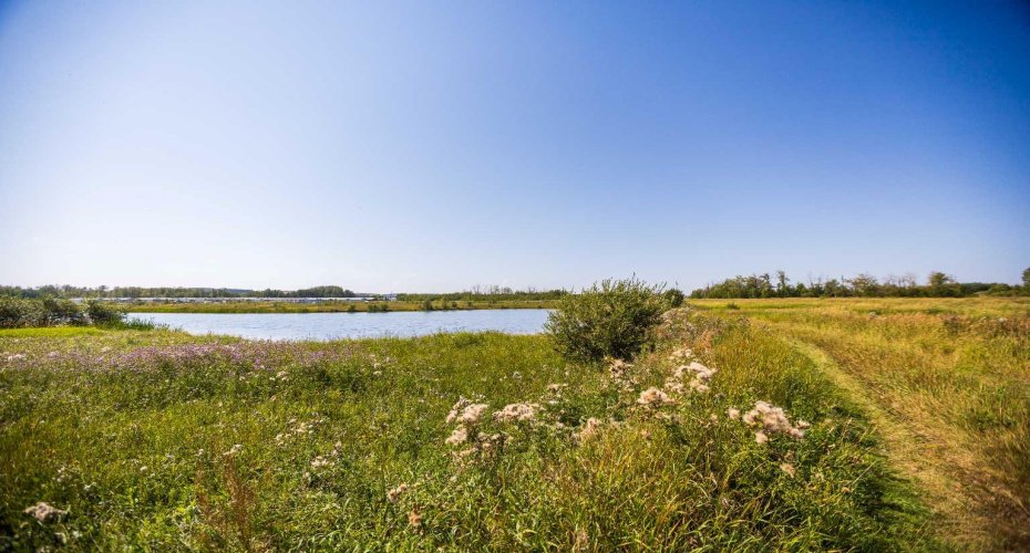 47 Ave Bayshore Dr., Sylvan Lake, Alberta T4S 0A7, ,Land,For Sale,Bayshore Dr.,A2252170