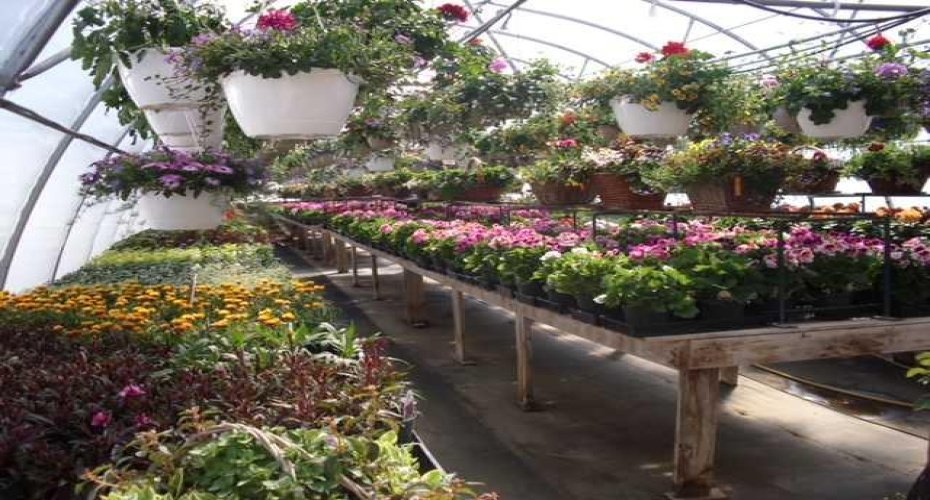 60009 Hwy 41 Highway, Rural Bonnyville No. 87, M.D. of, Alberta T9N2H1, ,Agri-business,For Sale,Hwy 41,A2156113