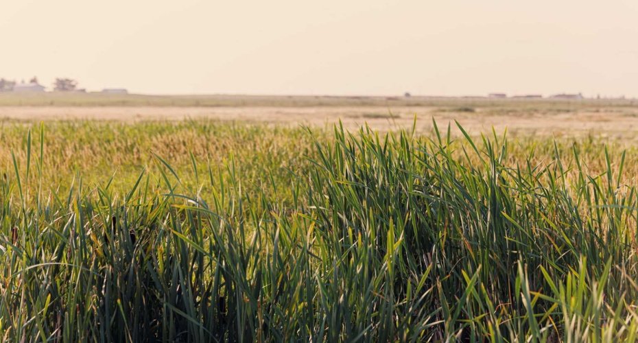 Parcel 9 Range Road 271 just south of Highway 9, Rural Rocky View County, Alberta T0M 1G0, ,Land,For Sale,Range Road 271 just south of Highway 9,A2252287