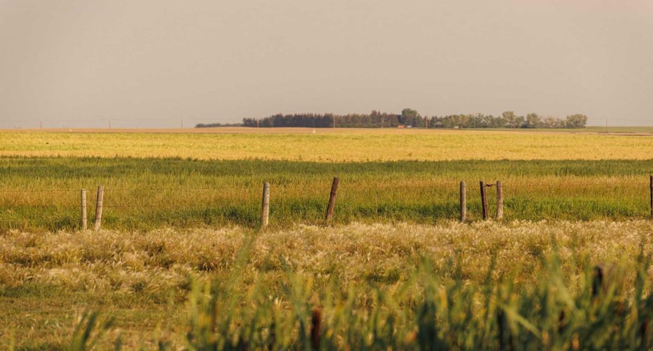 Parcel 9 Range Road 271 just south of Highway 9, Rural Rocky View County, Alberta T0M 1G0, ,Land,For Sale,Range Road 271 just south of Highway 9,A2252287