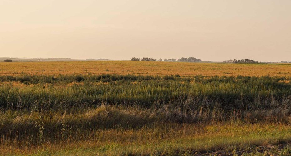 Parcel 9 Range Road 271 just south of Highway 9, Rural Rocky View County, Alberta T0M 1G0, ,Land,For Sale,Range Road 271 just south of Highway 9,A2252287