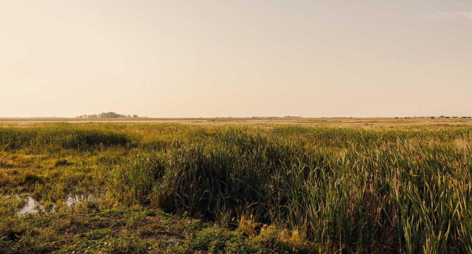 Parcel 9 Range Road 271 just south of Highway 9, Rural Rocky View County, Alberta T0M 1G0, ,Land,For Sale,Range Road 271 just south of Highway 9,A2252287