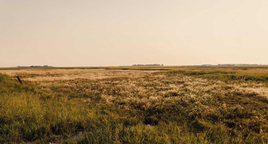 Parcel 9 Range Road 271 just south of Highway 9, Rural Rocky View County, Alberta T0M 1G0, ,Land,For Sale,Range Road 271 just south of Highway 9,A2252287