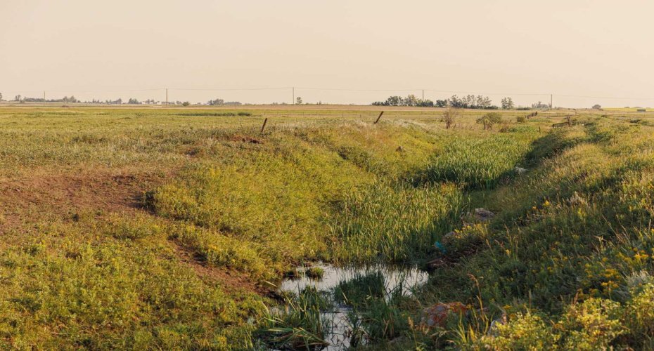 Parcel 7 Range Road 271 just south of Highway 9., Rural Rocky View County, Alberta T0M 1G0, ,Land,For Sale,Range Road 271 just south of Highway 9.,A2252297