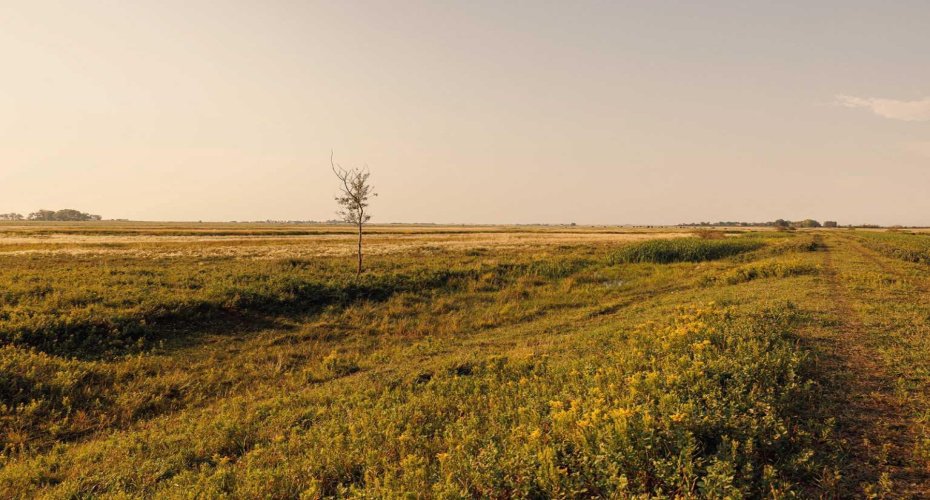 Parcel 7 Range Road 271 just south of Highway 9., Rural Rocky View County, Alberta T0M 1G0, ,Land,For Sale,Range Road 271 just south of Highway 9.,A2252297