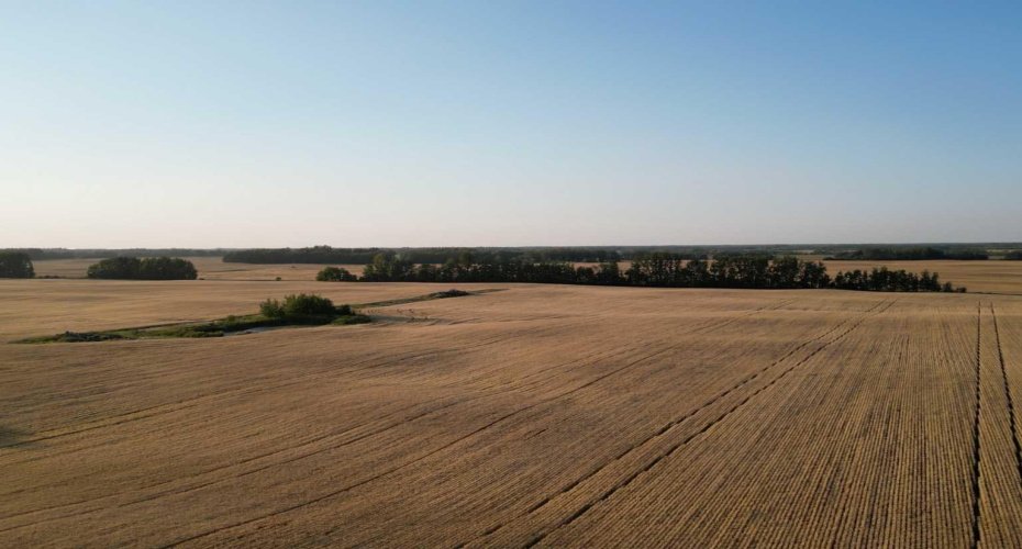 Range Road 224 Township 604, Rural Thorhild County, Alberta T0A 3J0, ,Land,For Sale,Range Road 224 Township 604,A2252824