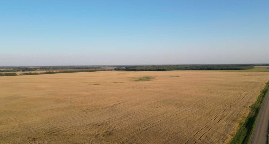 Range Road 224 Township 604, Rural Thorhild County, Alberta T0A 3J0, ,Land,For Sale,Range Road 224 Township 604,A2252824